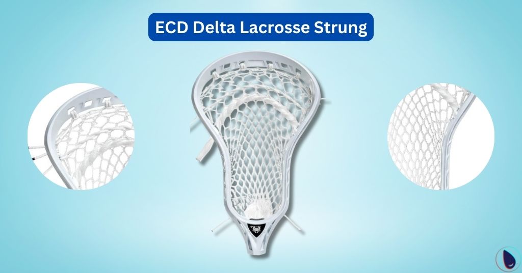 ECD Delta Lacrosse Strung