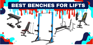 Read more about the article Top 6 Bench Options For Lacrosse Player Weight Training